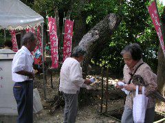 加持したキュウリを本道脇に納めます。