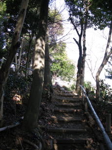展望台登山道途中