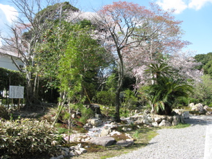 菩提樹（左側看板の横）
